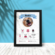 Carregar imagem no visualizador da galeria, Quadro Pet - Informações
