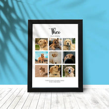 Carregar imagem no visualizador da galeria, Quadro Pet - 9 fotos
