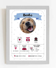 Carregar imagem no visualizador da galeria, Quadro Pet - Informações
